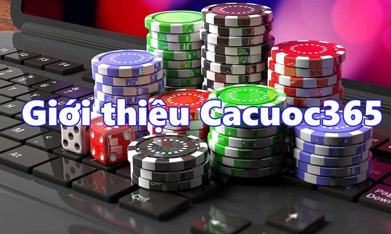 Cập nhật bong da toi nay với những trận cầu hấp dẫn và dự đoán kết quả chuẩn xác